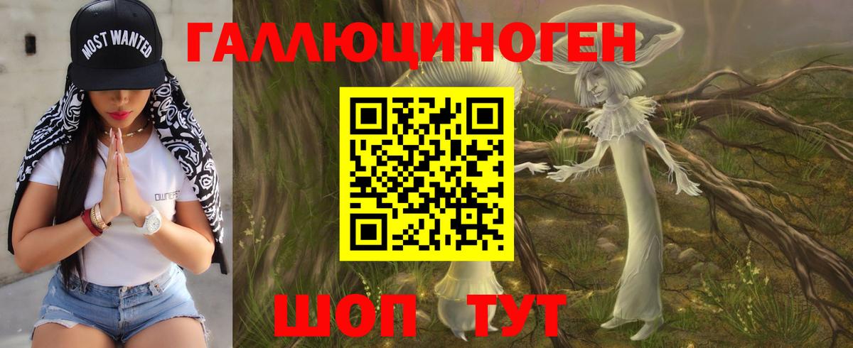 купить наркоту  Галлюциногенные грибы Cubensis  Вход с VPN  Гусев 
